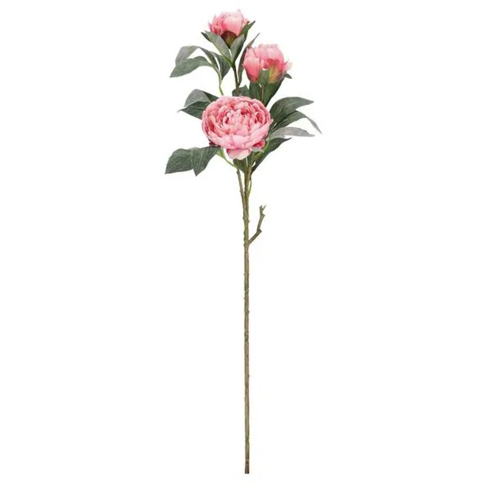 Bizzotto Cvijeće Peonija 90 cm rozo slika 1