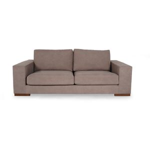 Nplus - Brown Brown 2-Seat Sofa