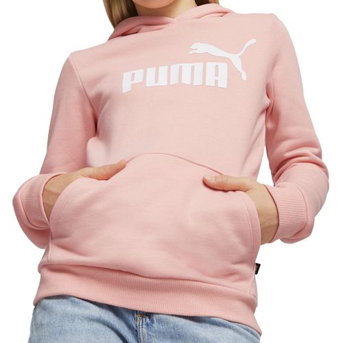 Puma Duks Ess Logo Hoodie Fl G Djevojčice slika 1