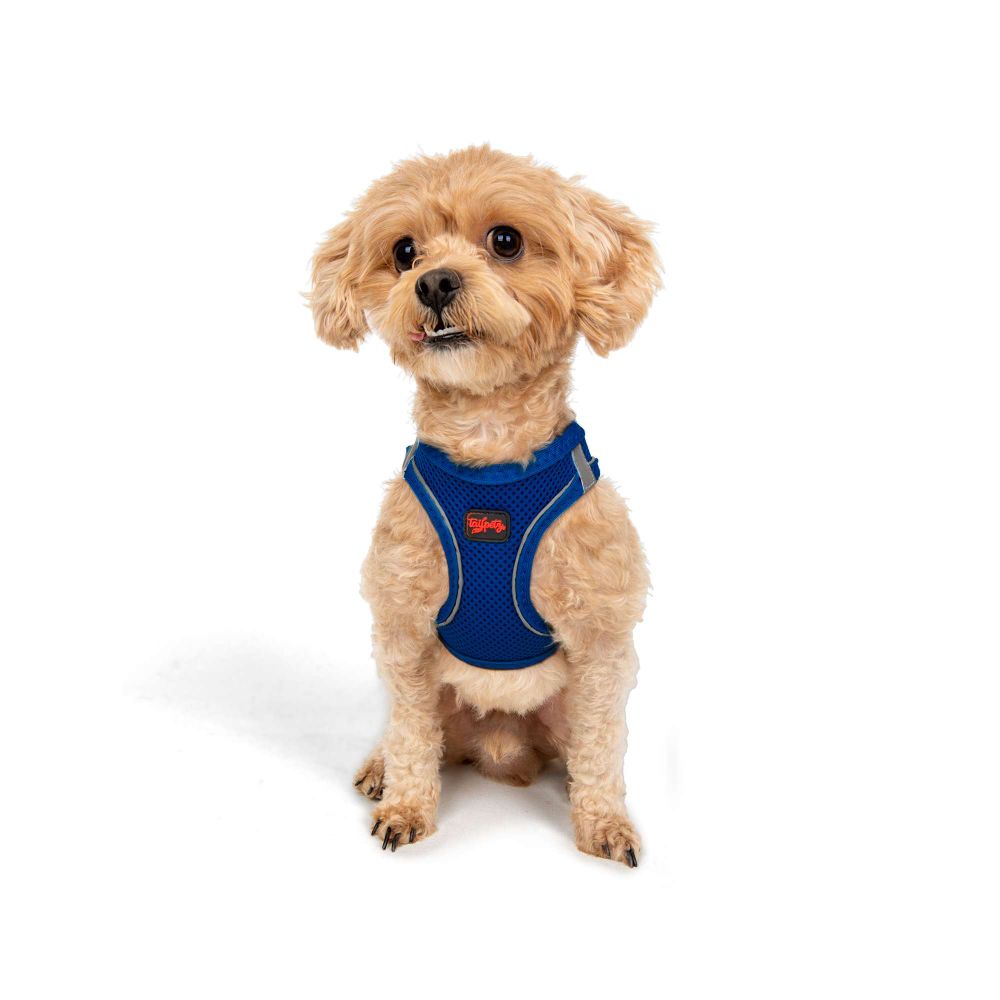 Air-Mesh - Sax Blue Sax Blue Dog Harness slika 1