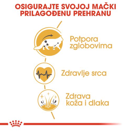 ROYAL CANIN FBN Maine Coon, potpuna i uravnotežena hrana za mačke, specijalno za odrasle mačke pasmine Maine Coon starije od 15 mjeseci, 400 g slika 5