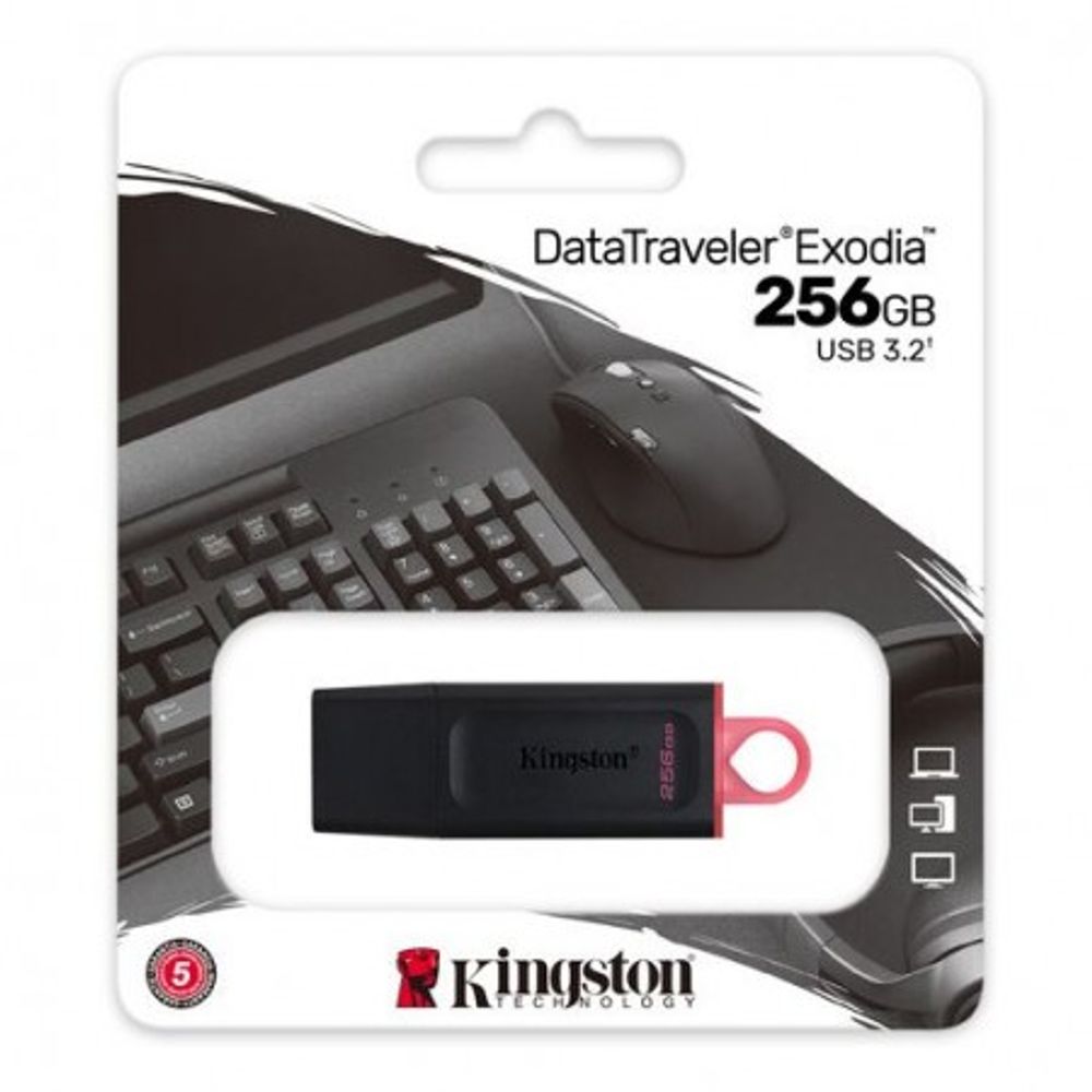 Kingston USB Memorija Exodia 256GB USB 3.2 slika 3