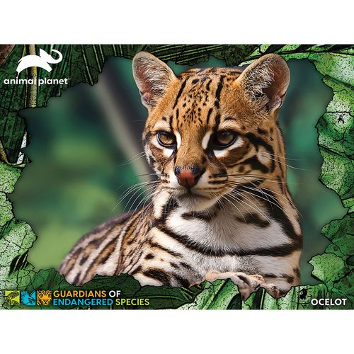 Puzzle 3D - Ocelot 100 kom 31x23cm animal planet ges slika 2