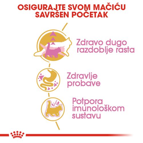 ROYAL CANIN FBN Maine Coon KITTEN, potpuna i uravnotežena hrana za mačke, specijalno za mačiće pasmine Maine Coon do 15 mjeseci starosti, 2 kg slika 7