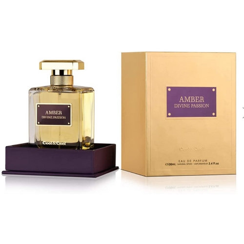 Cool & Cool Amber Divine Passion EDP 100ml slika 1