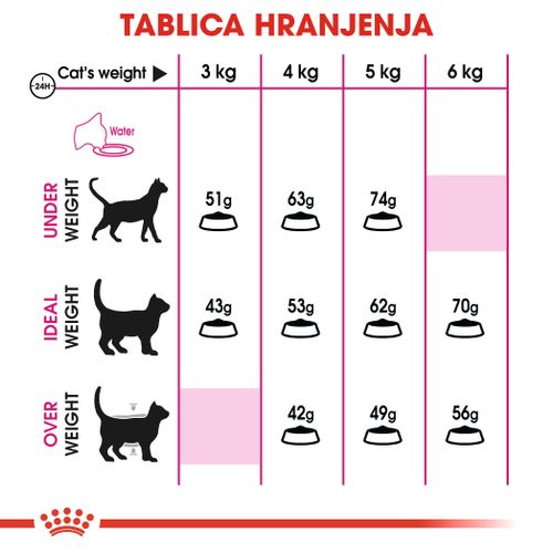 ROYAL CANIN FHN Exigent Savour, potpuna i uravnotežena hrana za jako izbirljive odrasle mačke starije od godinu dana, 2 kg slika 3