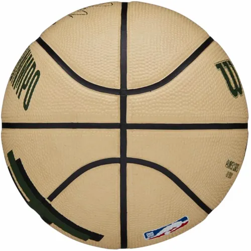 Wilson NBA Player Icon Giannis Antetokounmpo mini košarkaška lopta wz4007501xb slika 8