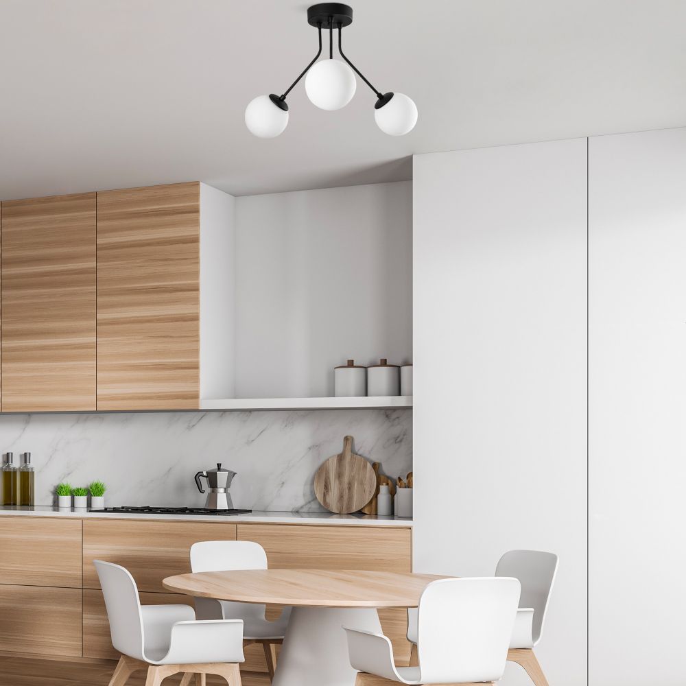 Orıon - Crni Luster 13955 slika 3