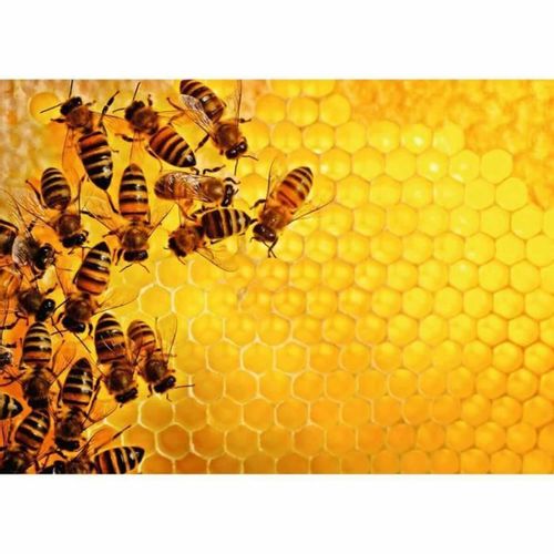 Puzzle Ravensburger Challenge 17362 Beehive 1000 Dijelovi slika 2