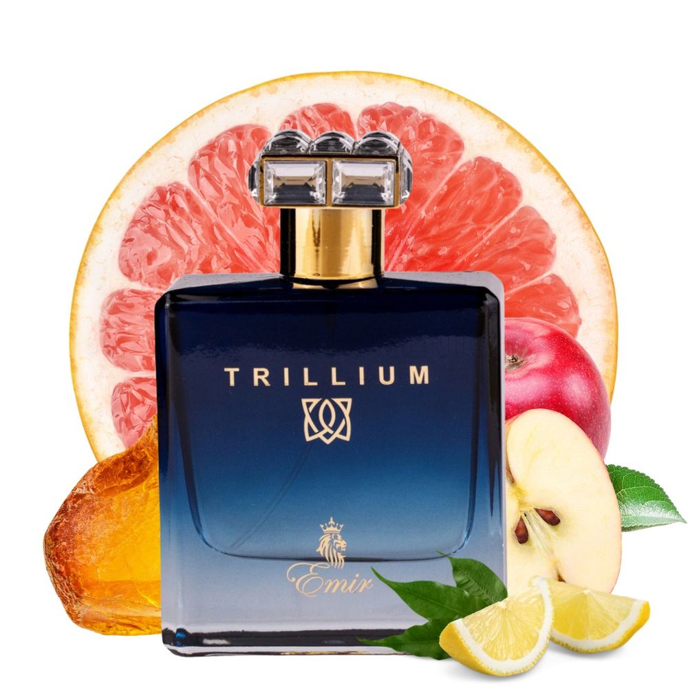 Paris Corner Emir Trillium Eau de Parfum 100ml slika 3