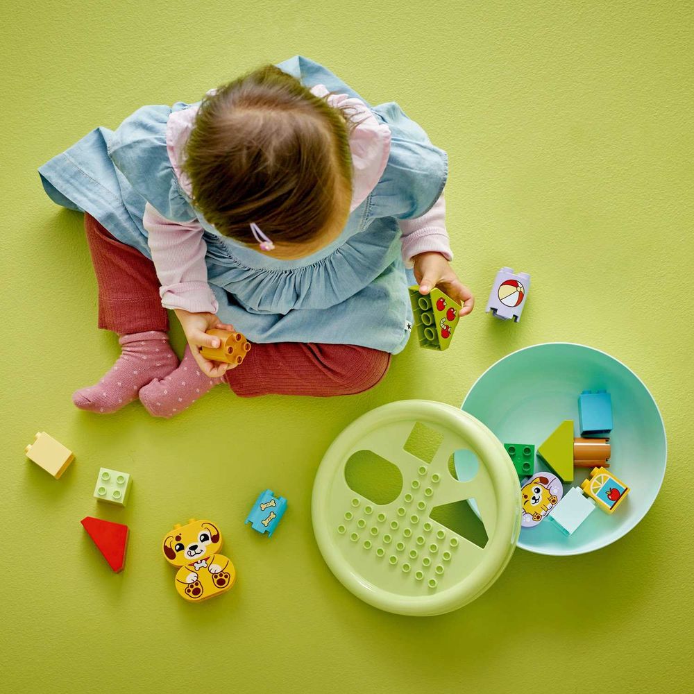 LEGO 10441 Shape Sorter: Puppy House slika 8