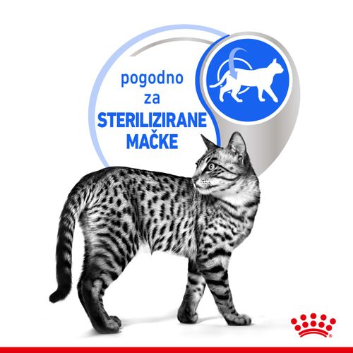 ROYAL CANIN FHN Indoor Gravy, potpuna hrana u vrećici za  odrasle mačke, za mačke koje žive u kući, komadići u umaku, 12x85 g slika 6