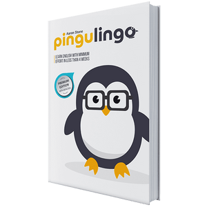 Pingulingo – Sistem za učenje engleskog jezika
