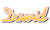 Dawid logo