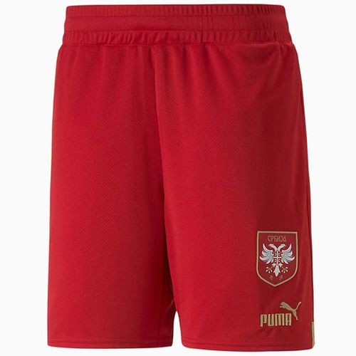 765770-01 Puma Sorc Puma Fss Shorts Replica 765770-01 slika 1