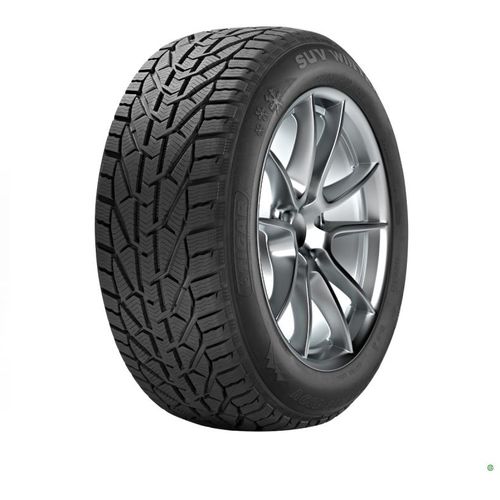 225/55R16 Tigar 95H Winter zim slika 1