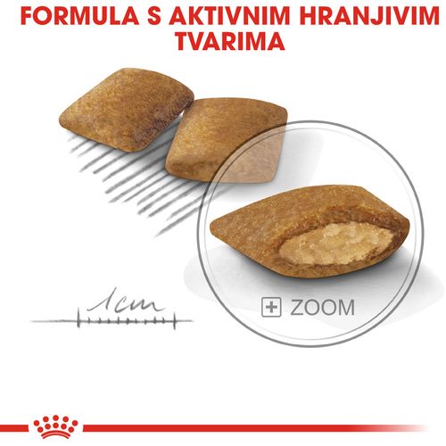 ROYAL CANIN CCN Mini Exigent, potpuna hrana za pse - Za odrasle i starije pse malih pasmina (od 1 do 10 kg) - Stariji od 10 mjeseci - Mali izbirljivi psi, 3 kg slika 9