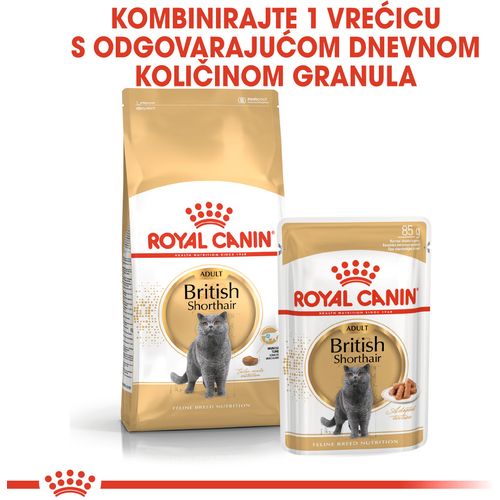 ROYAL CANIN FBN British Shorthair, potpuna i uravnotežena mokra hrana u umaku za odrasle mačke, specijalno za britanske krtkodlake mačke starije od 12 mjeseci, 12x85 g slika 2
