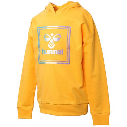 Hummel Duks Hmlleiden Hoodie Za Dječake slika 1