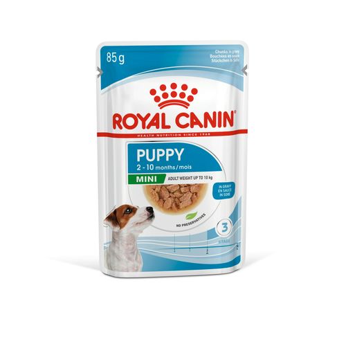 ROYAL CANIN SHN Mini PUPPY vrećice za pse, otpuna hrana za pse, specijalno za štence malih pasmina (konačne težine od 1 do 10 kg)  do 10 mjeseci starosti, 12x85 g slika 1