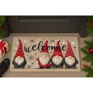Doormat Bsr-Crh-Pvc-15 colours: Multicolor
