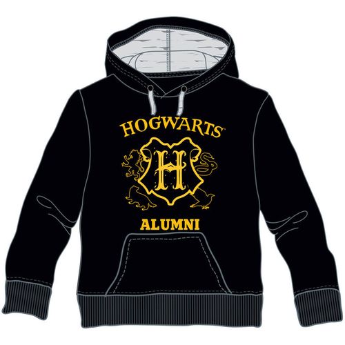 Harry Potter Hogwarts Alumni dječji hoodie - 10 god slika 1