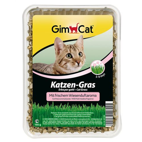 Gimborn GimCat trava za mačke Livada, 150 g slika 1