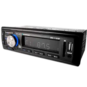 Blaupunkt BPA 1119 BT Auto radio 