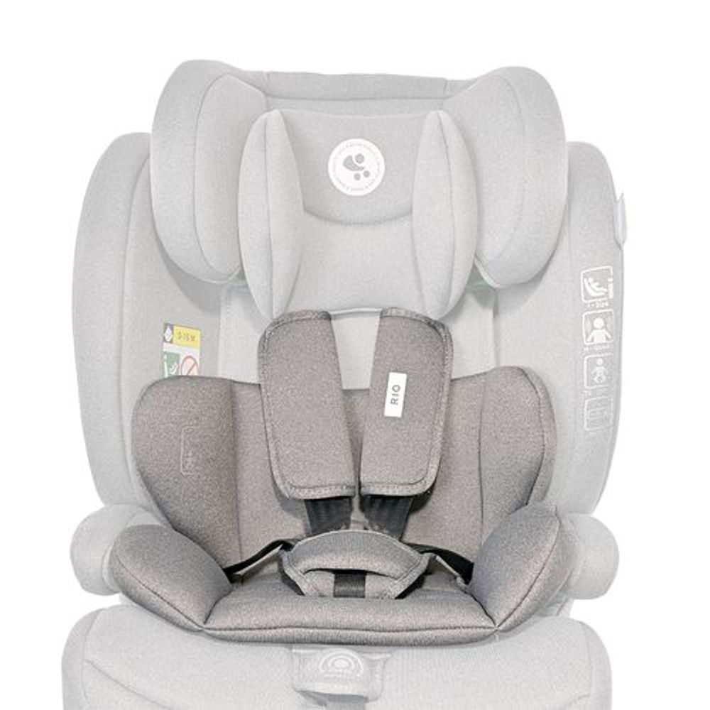 Lorelli Autosjedalica Rio 76-150cm Isofix, Grey slika 6