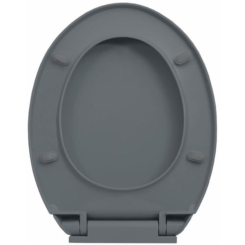 Toaletna daska s mekim zatvaranjem siva ovalna slika 15