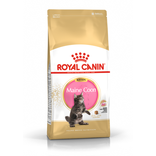 ROYAL CANIN FBN Maine Coon KITTEN, potpuna i uravnotežena hrana za mačke, specijalno za mačiće pasmine Maine Coon do 15 mjeseci starosti, 2 kg slika 1