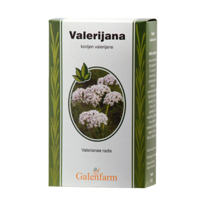 Galenfarm Valerijana korijen RIF 50 g prirodni biljni čaj za smirenje i bolji san