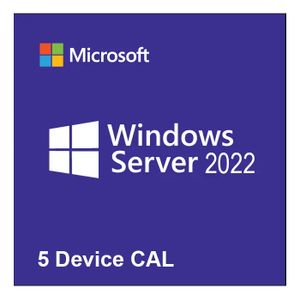 Microsoft R18-06430 Windows Server CAL 2022 English 1pk DSP OEI 5 Clt Device CAL