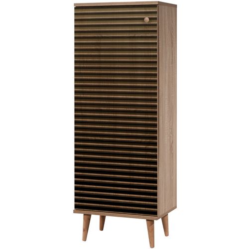 FİLİNTA-220 Sonoma Oak Shoe Cabinet slika 4