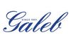 Galeb logo