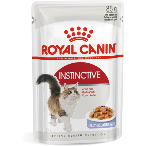 ROYAL CANIN FHN Instinctive Jelly, potpuna hrana u vrećici za  odrasle mačke, u želeu, 12x85 g slika 1