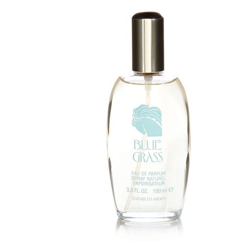 Elizabeth Arden Blue Grass Eau De Parfum 100 ml (woman) slika 1