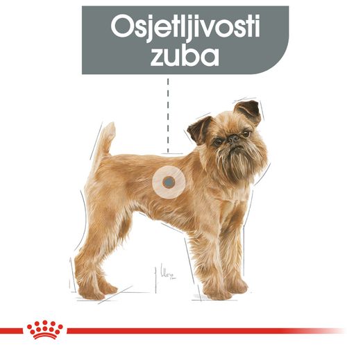 ROYAL CANIN CCN Mini Dental Care, potpuna hrana za odrasle pse malih pasmina, stariji od 10 mjeseci, 1 kg slika 5