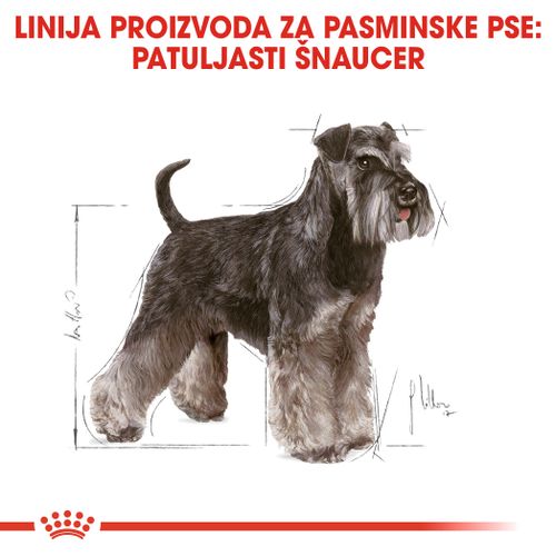 ROYAL CANIN BHN Miniature Schnauzer Adult, otpuna hrana specijalno prilagođena potrebama odraslih i starijih patuljastih šnaucera, stariji od 10 mjeseci, 3 kg slika 4