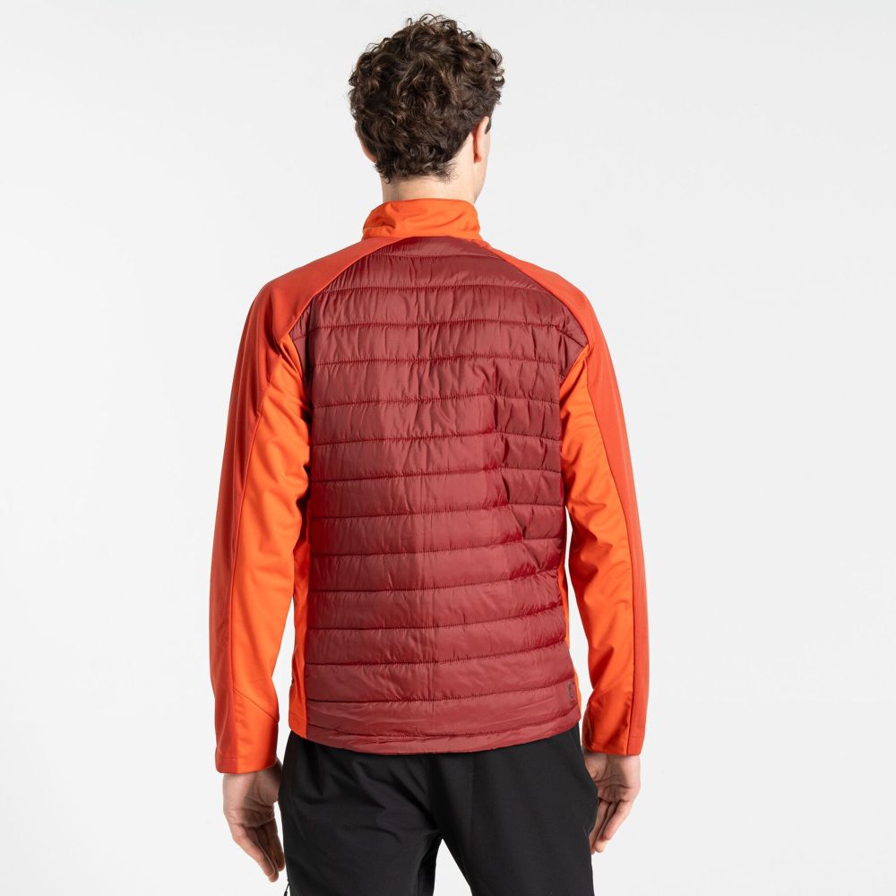 Dare2B Muška jakna Mountaineer Hybrid, Tuscan Red/Syrah Red slika 5