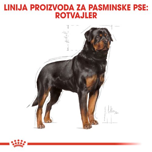 ROYAL CANIN BHN Rottweiler Adult, potpuna hrana za odrasle i starije pse pasmine rotvajler starije od 18 mjeseci, 12 kg slika 4