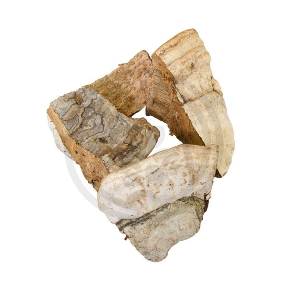 Pečurke, materijal za dimljenje, 1kg slika 1
