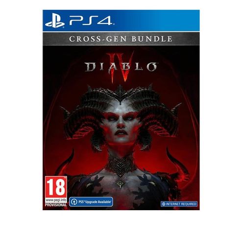 PS4 Diablo IV slika 1