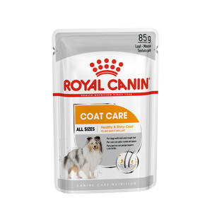 Royal Canin CCN Coat Care Loaf, potpuna hrana za odrasle pse, 12x85 g