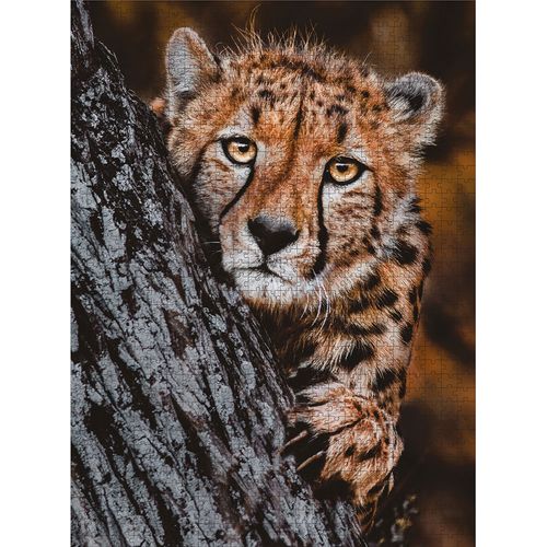 PUZZLE - gepard 1000 kom 70x50cm photographers collection slika 2