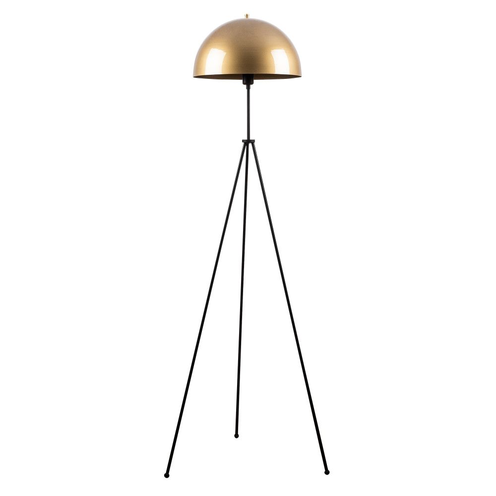 Can - NT - 113 ZlatoCrna Podna Lampa slika 2