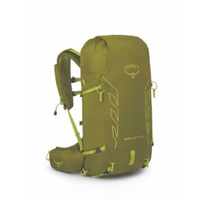 Talon Velocity 30 Backpack - ZELENA