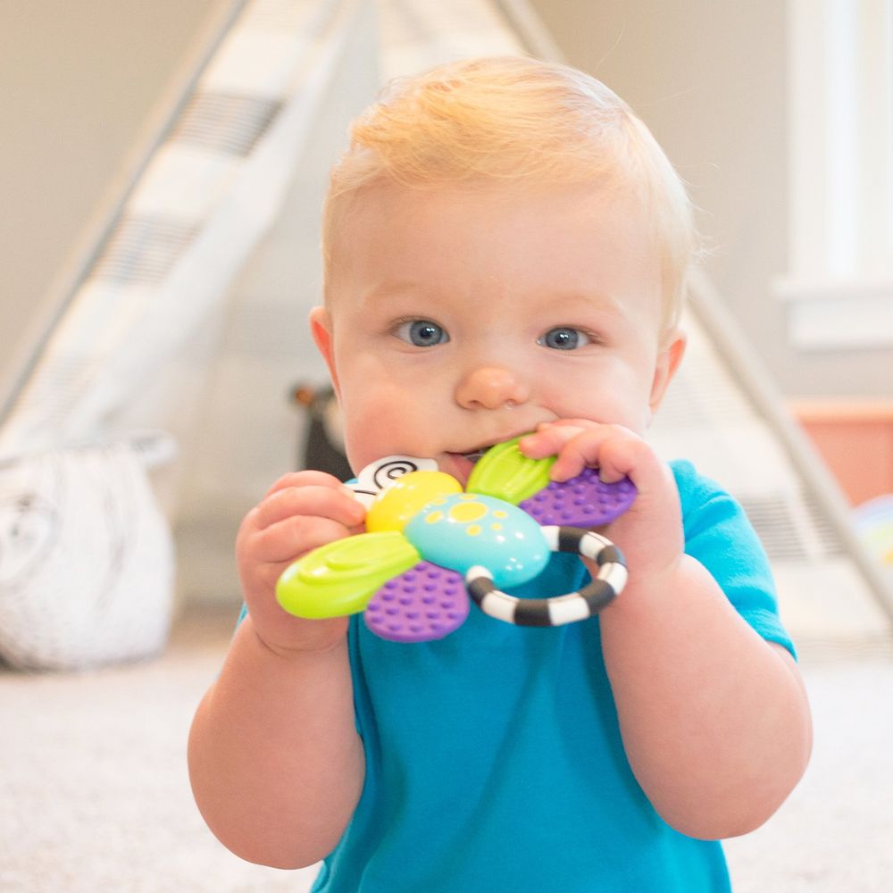 Sassy Flutterby Teether grickalica slika 3