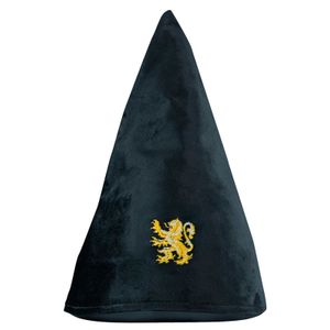 Harry Potter Gryffindor hat