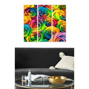 MDF127274552 Multicolor Decorative MDF Painting (3 Pieces)